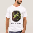 Search for conures clothing Bird