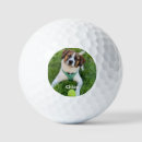 Search for dog golf balls Trendy