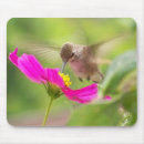 Search for hummingbird mousepads Habitat