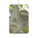Search for sloth car air fresheners Animal
