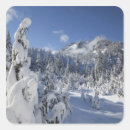 Search for idyllic stickers Forest