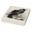 Search for raven rubber stamps Illustration