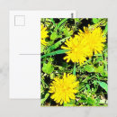 Search for spring mountains postcards Photography