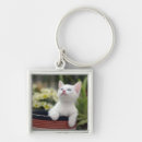 Search for looking up key rings Baby animals