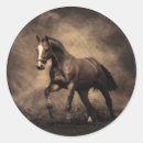 Search for horse running stickers Stallion