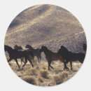 Search for wild mustang stickers Desert