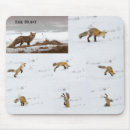 Search for the red fox electronics Nature