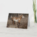 Search for bob cards Animal