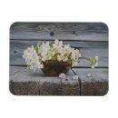 Search for apple blossoms magnets White flowers