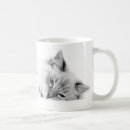 Search for ragdoll mugs Cat