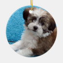 Search for havanese christmas tree decorations Rescue