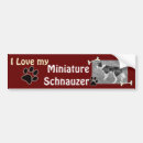 Search for schnauzer bumper stickers Puppies