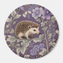 Search for hedgehog magnets Vintage