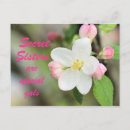 Search for spring time cards Gardener