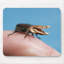 Search for funny bug mousepads Animal
