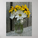 Search for susans posters Flower