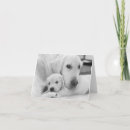 Search for new mommy cards Puppy