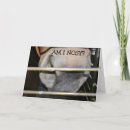 Search for funny nose cards Photography