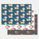 Search for red bull wrapping paper Puppy