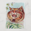 Search for wild cats postcards Animal