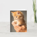 Search for warm fuzzy cards Kitty