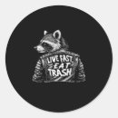 Search for funny panda stickers Racoon