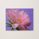 Search for pink peony puzzles Photography