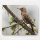 Search for gari mousepads Usa