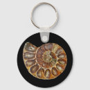 Search for snail shell key rings Animal