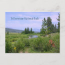 Search for meadows postcards Wyoming