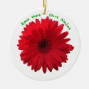 Search for bloom blooms blooming christmas tree decorations Daisies