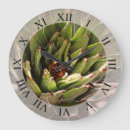 Search for succulent photography Botanical