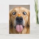 Search for golden retriever halloween cards Pet