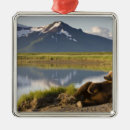 Search for in the wilderness christmas tree decorations Peaceful