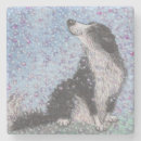 Search for time coasters Dog