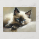 Search for companion postcards Cute