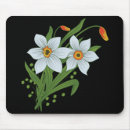 Search for white daffodil mousepads Narcissus