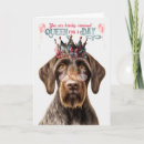 Search for german wirehaired pointer Pets
