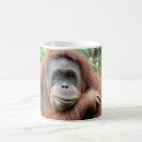 Search for orangutan monkey mugs Cute