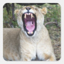 Search for mara stickers Kenya