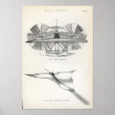 Search for aeronautical posters 19th