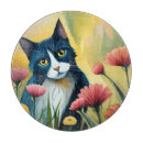 Search for black cat cookware Kitten