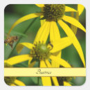 Search for pollen stickers Insect