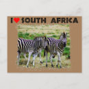 Search for pair postcards Safari