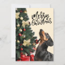 Search for sausage dog christmas cards Festive