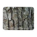 Search for bark magnets Forest