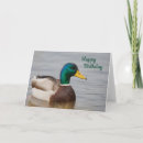 Search for shorebird cards Animal
