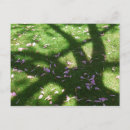Search for shadowed postcards Pink