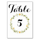 Search for chamomile Rustic