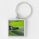Search for toad key rings Outdoors